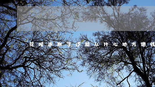 花呗逾期了还能从什么地方借钱 花呗逾期了还能从什么地方借钱