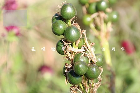 花呗逾期了还能信用住 花呗逾期了还能信用住