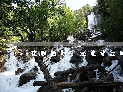 花呗逾期了还能修复吗 花呗逾期了还能修复吗