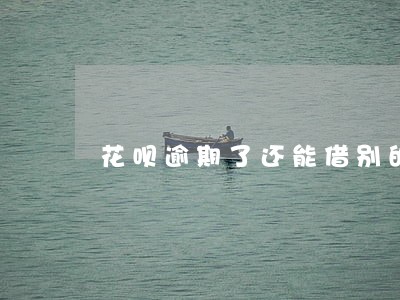 花呗逾期了还能借别的网贷吗 花呗逾期了还能借别的网贷吗