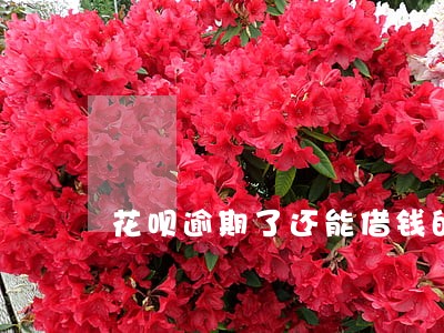 花呗逾期了还能借钱的app 花呗逾期了还能借钱的app