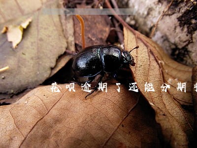 花呗逾期了还能分期手机吗