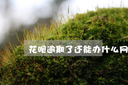 花呗逾期了还能办什么网贷 花呗逾期了还能办什么网贷