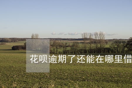 花呗逾期了还能在哪里借钱 花呗逾期了还能在哪里借钱