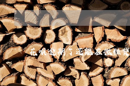 花呗逾期了还能在微粒贷借钱吗 花呗逾期了还能在微粒贷借钱吗