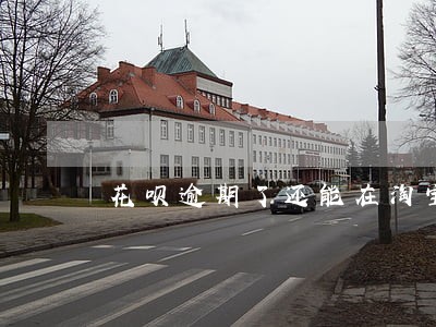 花呗逾期了还能在淘宝上买东西吗 花呗逾期了还能在淘宝上买东西吗