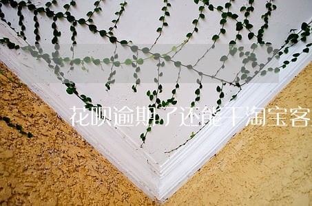 花呗逾期了还能干淘宝客服吗 花呗逾期了还能干淘宝客服吗