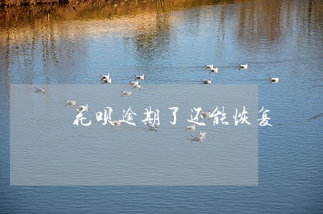花呗逾期了还能恢复 花呗逾期了还能恢复