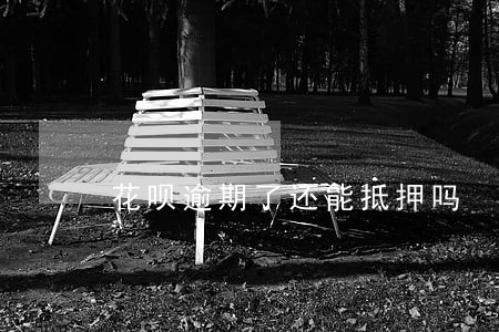 花呗逾期了还能抵押吗 花呗逾期了还能抵押吗