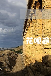 花呗逾期了还能提升信用分吗 花呗逾期了还能提升信用分吗