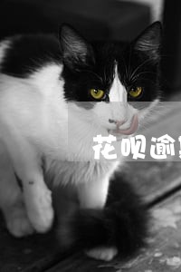 花呗逾期了还能攒芝麻粒吗