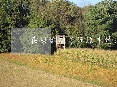 花呗逾期了还能申请还款吗 花呗逾期了还能申请还款吗