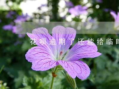花呗逾期了还能给临时额度吗 花呗逾期了还能给临时额度吗