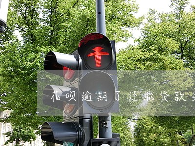 花呗逾期了还能贷款买车吗 花呗逾期了还能贷款买车吗