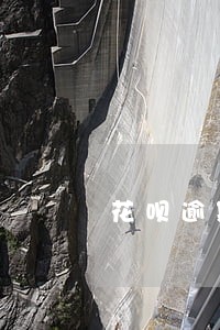 花呗逾期了额度不能用 花呗逾期了额度不能用