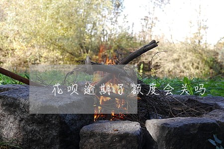 花呗逾期了额度会关吗 花呗逾期了额度会关吗