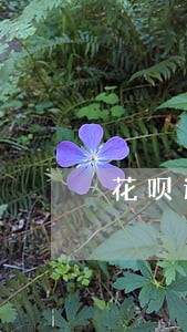 花呗逾期了额度多久恢复正常 花呗逾期了额度多久恢复正常