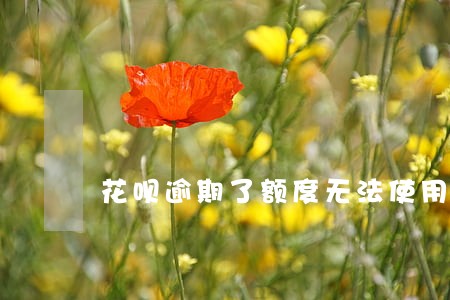 花呗逾期了额度无法使用怎么办 花呗逾期了额度无法使用怎么办