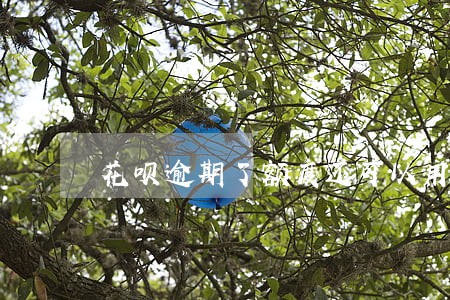 花呗逾期了额度还可以用