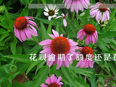 花呗逾期了额度还是在涨