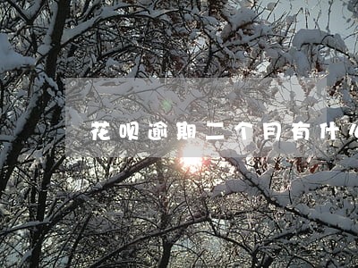 花呗逾期二个月有什么后果 花呗逾期二个月有什么后果