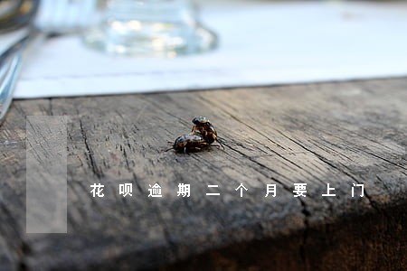 花呗逾期二个月要上门