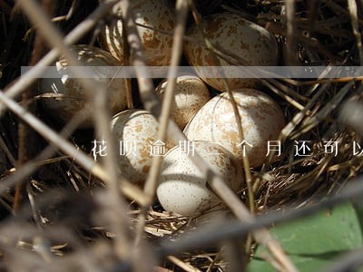 花呗逾期二个月还可以分期付款吗 花呗逾期二个月还可以分期付款吗