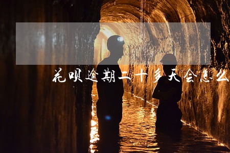 花呗逾期二十多天会怎么样 花呗逾期二十多天会怎么样