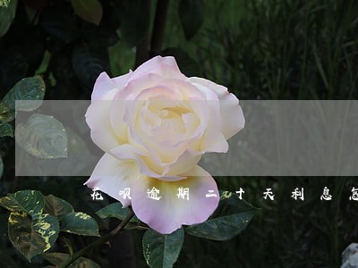 花呗逾期二十天利息怎么算 花呗逾期二十天利息怎么算
