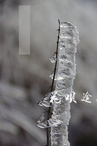 花呗逾期二十天永久关闭吗