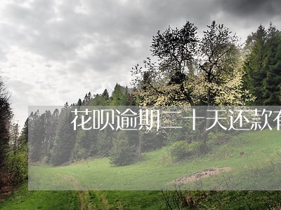 花呗逾期二十天还款有影响吗 花呗逾期二十天还款有影响吗