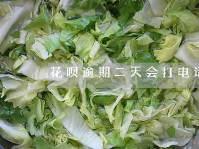 花呗逾期二天会打电话 花呗逾期二天会打电话