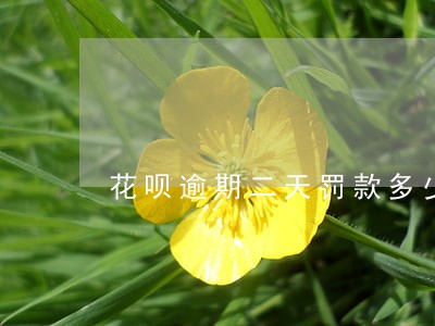 花呗逾期二天罚款多少 花呗逾期二天罚款多少