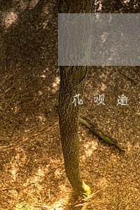 花呗逾期二天芝麻分 花呗逾期二天芝麻分