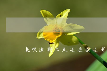 花呗逾期二天还进去还有额度吗 花呗逾期二天还进去还有额度吗