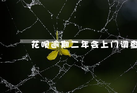 花呗逾期二年会上门调查吗 花呗逾期二年会上门调查吗