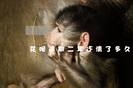 花呗逾期二年还清了多久才可以用 花呗逾期二年还清了多久才可以用