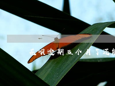 花呗逾期五个月了还能恢复吗 花呗逾期五个月了还能恢复吗