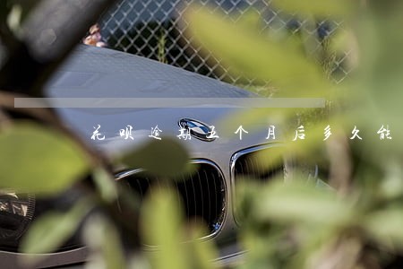 花呗逾期五个月后多久能用 花呗逾期五个月后多久能用