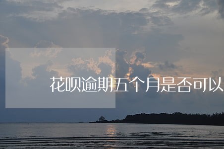 花呗逾期五个月是否可以办信用卡