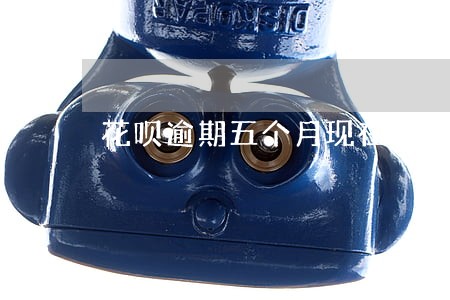 花呗逾期五个月现在还清了 花呗逾期五个月现在还清了