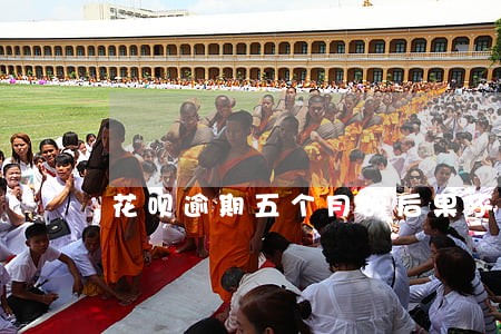 花呗逾期五个月的后果不敢协商 花呗逾期五个月的后果不敢协商