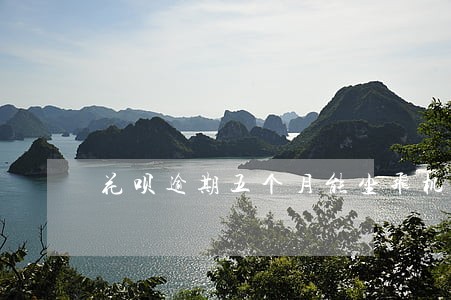 花呗逾期五个月能坐飞机吗 花呗逾期五个月能坐飞机吗