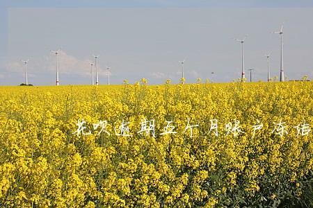 花呗逾期五个月账户冻结