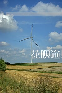 花呗逾期五个月还完了怎么解禁