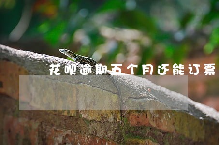花呗逾期五个月还能订票吗 花呗逾期五个月还能订票吗