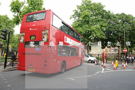 花呗逾期五六个月怎么恢复征信 花呗逾期五六个月怎么恢复征信