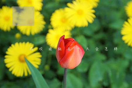 花呗逾期五十天会怎样