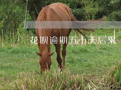 花呗逾期五十天后果 花呗逾期五十天后果