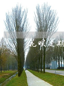花呗逾期五千多后果 花呗逾期五千多后果